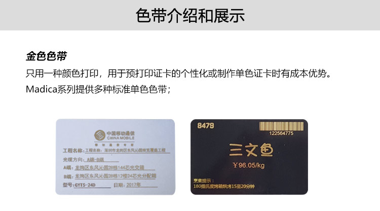 P系列金色带_04.jpg